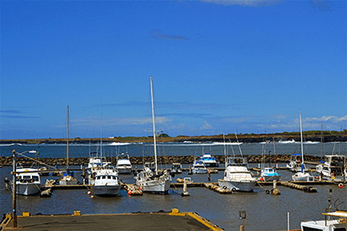 Port Allen marina center