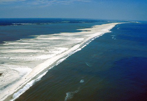 Assateague island