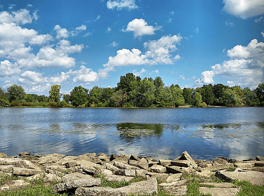 Mosquito lake