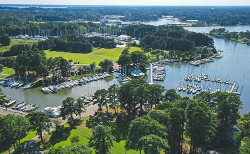 Stingray point marina