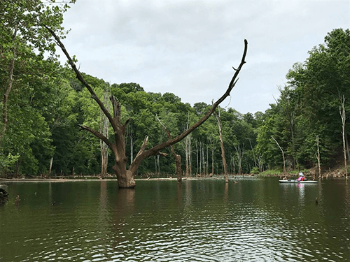 North bend lake