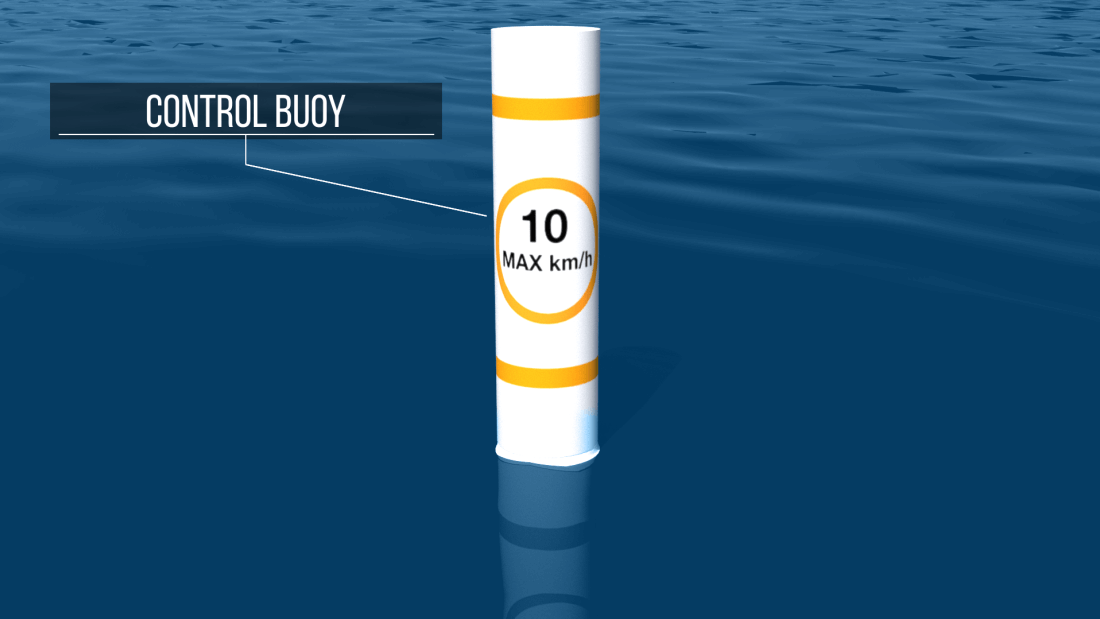 Control buoy 