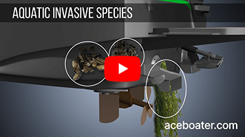 Aquatic invasive species